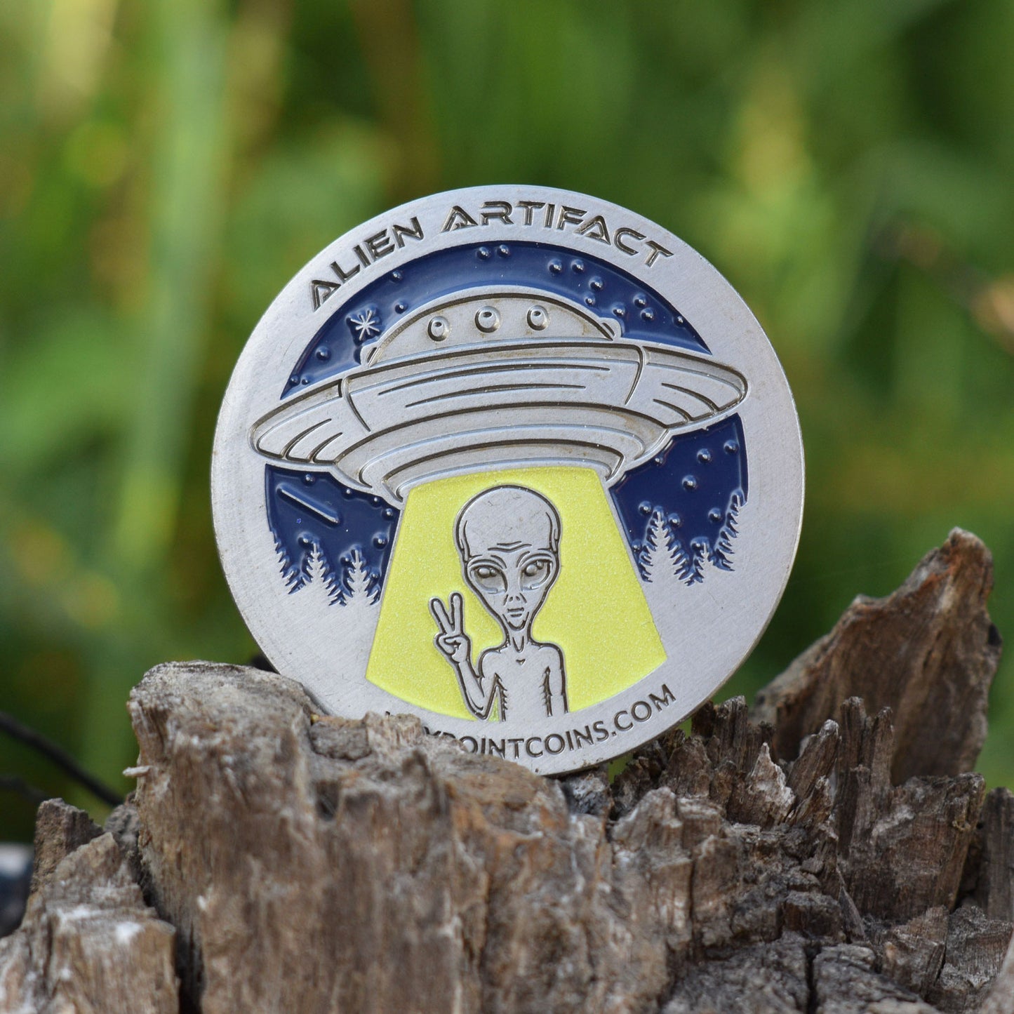 Hide & Seek Alien Artifact