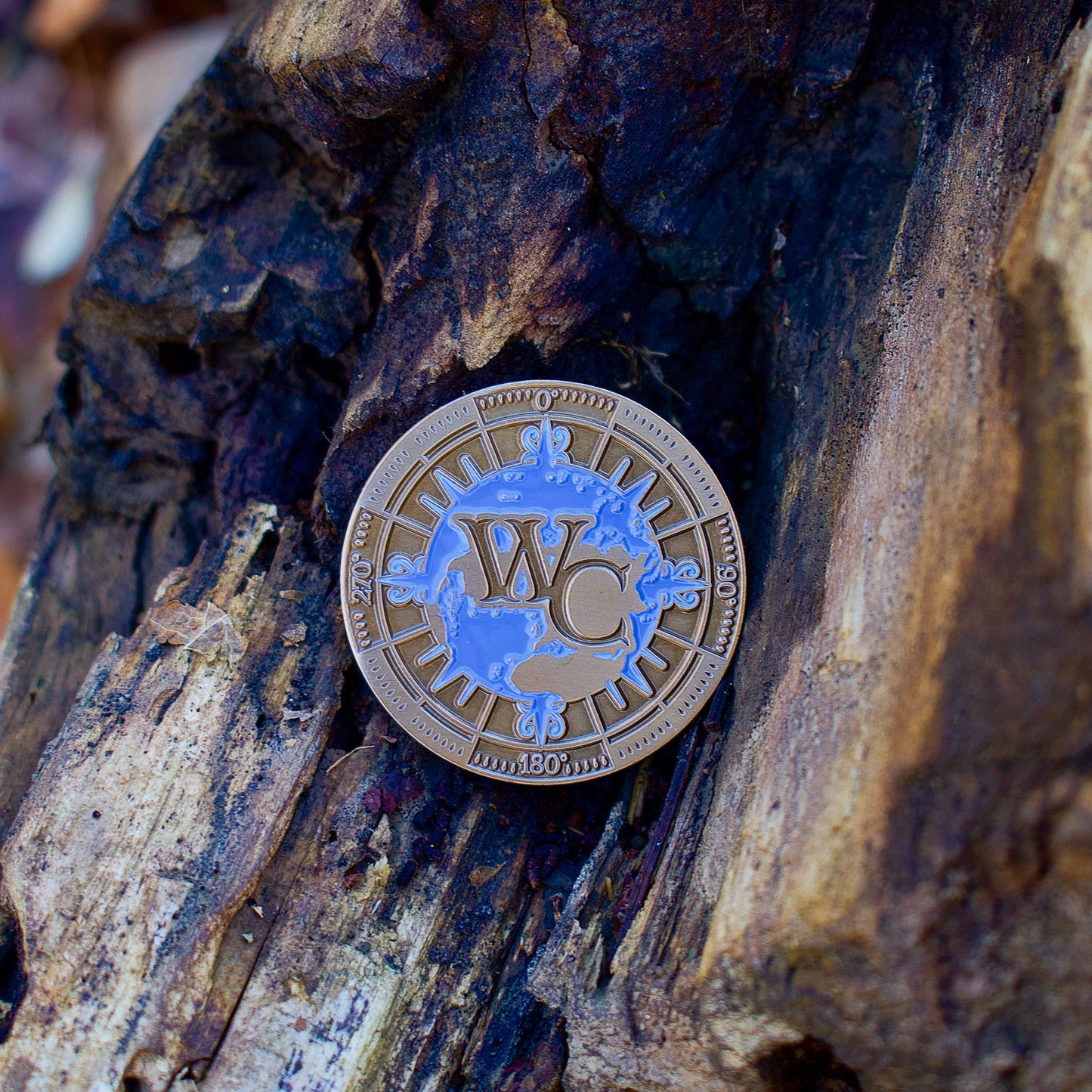 Hide & Seek Adventure Seeker Coin - Waypoint Coins
