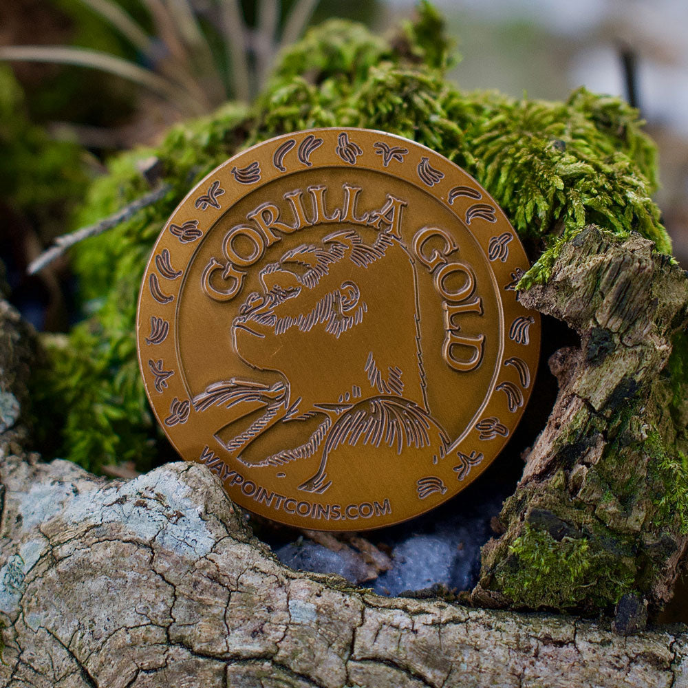 Hide & Seek Gorilla Gold Coin - Waypoint Coins