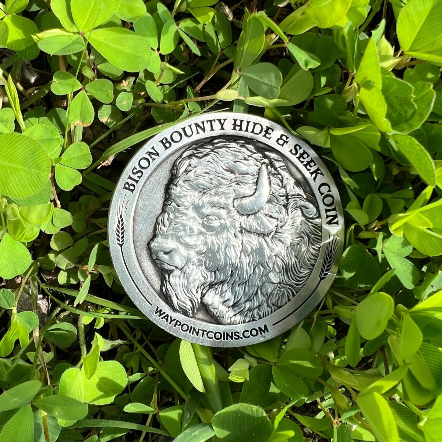Hide & Seek Bison Bounty Coin - Waypoint Coins