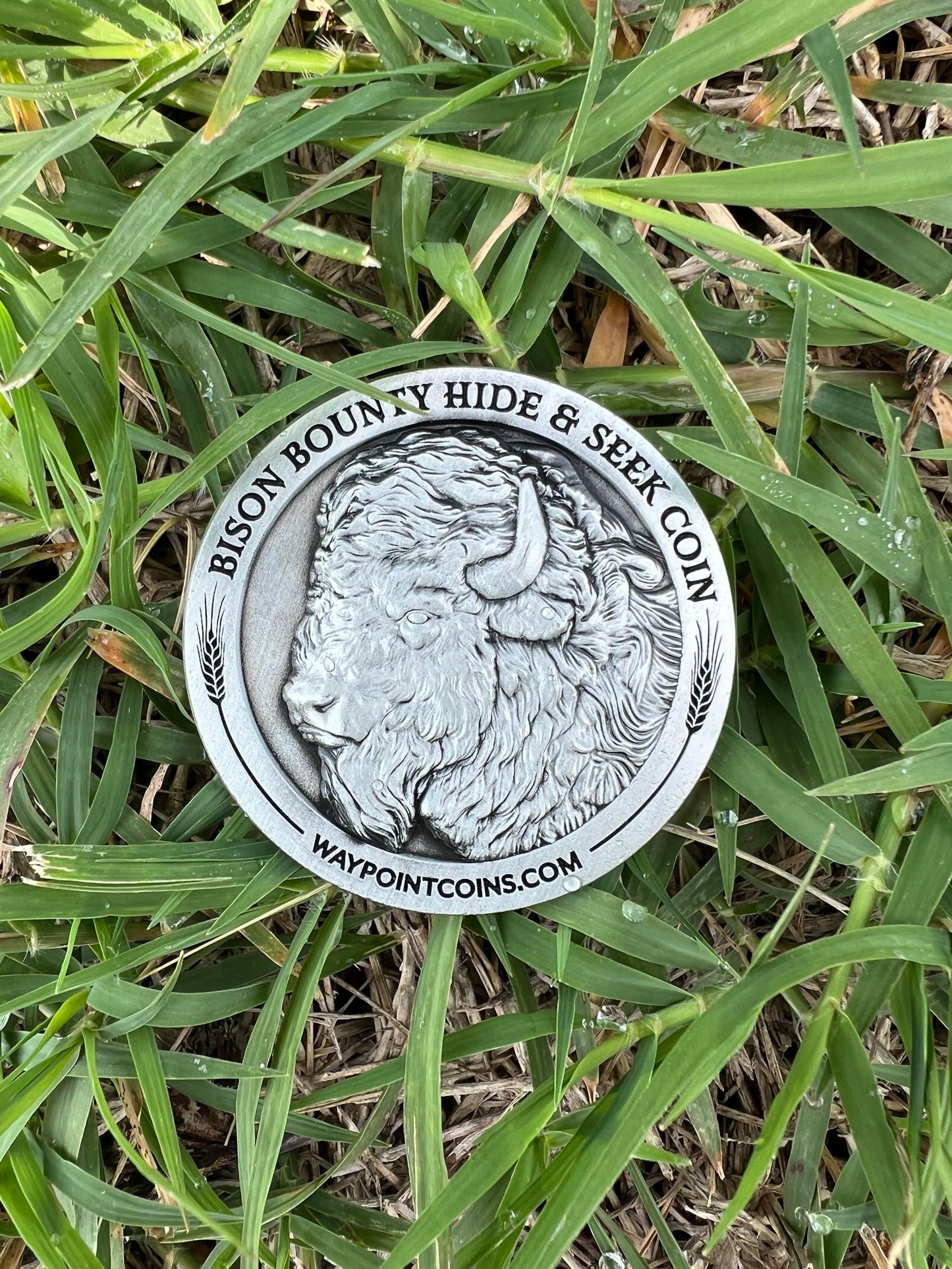 Hide & Seek Bison Bounty Coin - Waypoint Coins
