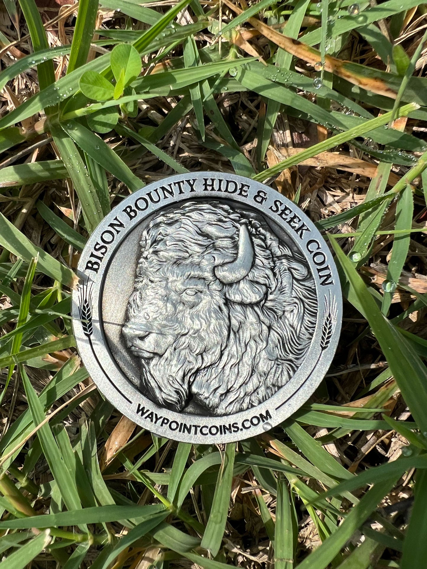 Hide & Seek Bison Bounty Coin - Waypoint Coins