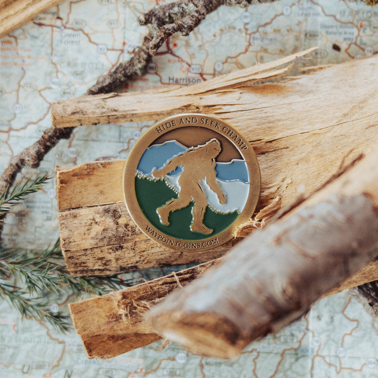 Hide & Seek Wild Wanderer Coin - Waypoint Coins